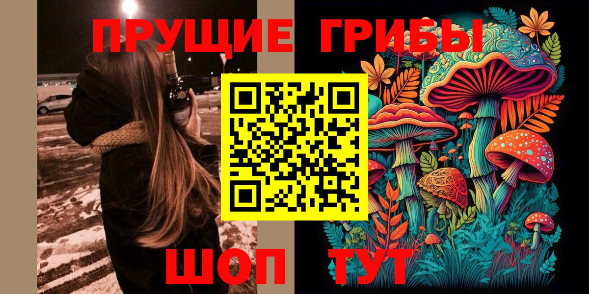 Малгобек  Псилоцибиновые грибы прущие грибы  Вход с VPN  Псилоцибиновые грибы GOLDEN TEACHER 