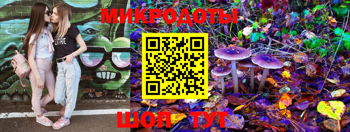 A-PVP Малгобек